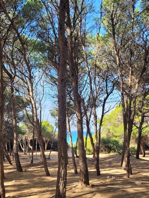 Villa Dolce Far Niente Ostuni Exterior photo